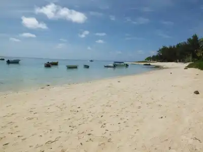 Eden Villa - 14