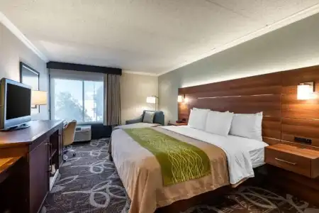 Comfort Inn Anaheim Resort - 60