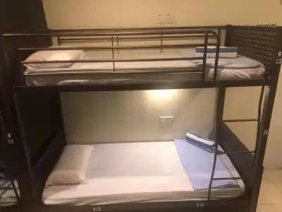 Alia Express Ferringhi - 28