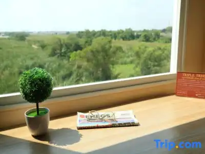 Triple Trees - 58