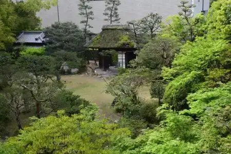 Dogo Onsen Funaya - 62