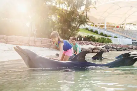 Sea World Resort - 39