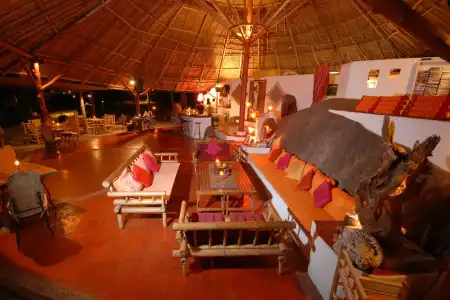 The Jungle Club - 13