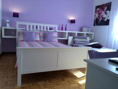 La Rosa Scarlatta Broseta - 41