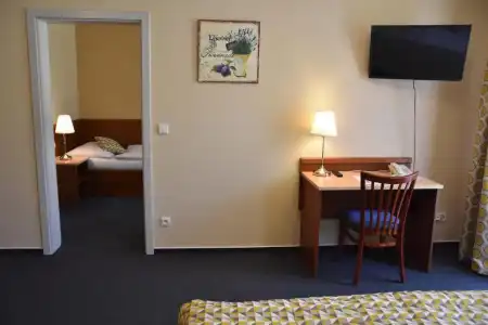 ApartAustria Suites - 78