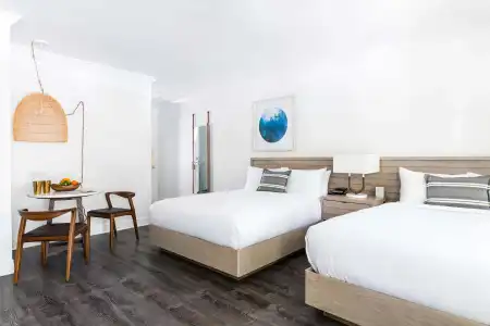 Parrot Key & Villas - 8