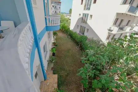 Divo Palace - 0