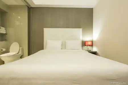 The Luxe - 25