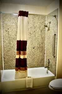 Red Roof Inn & Suites Little Rock - 88