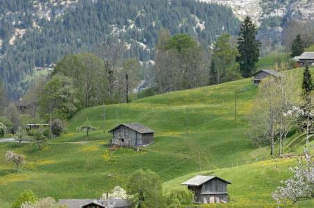Aspen alpin lifestyle Grindelwald - 123