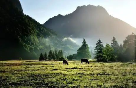 LandBöld Oberammergau - 9