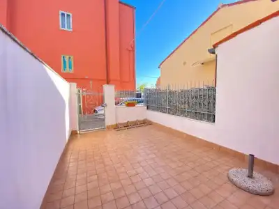 Ragno D'Oro - 37