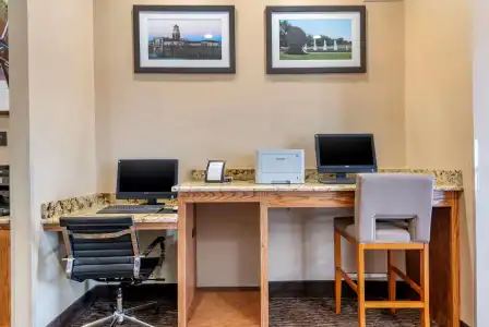 Comfort Suites University - 2