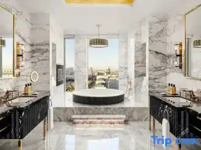 The Ritz-Carlton - 96