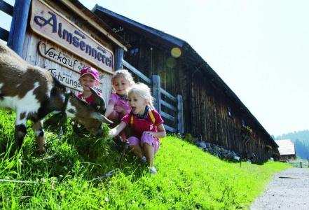 FamilienSteindl - 13