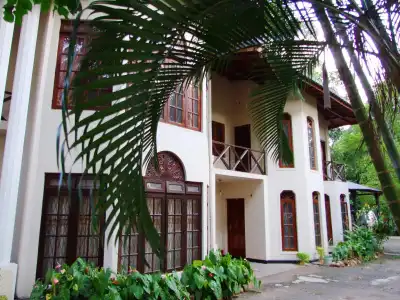 Tree Breeze Inn - 57