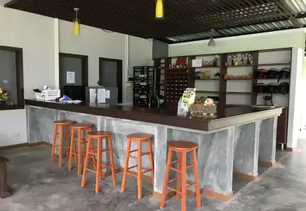 Khaolak Mountain View - 21