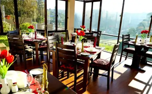 Glory Bush Villa - 18