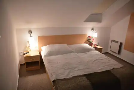 Wellness Vila Bohemia - 76