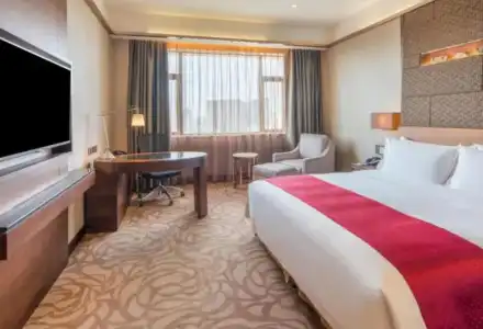 Holiday Inn Xi'an Big Goose Pagoda by IHG - 59