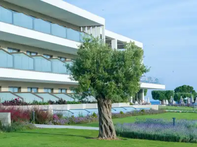 Ammoa Luxury & Spa Resort - 41