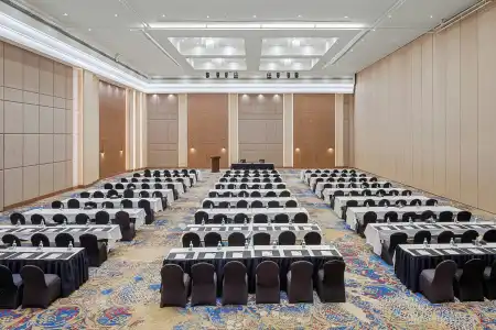 Hilton Alexandria Green Plaza - 33