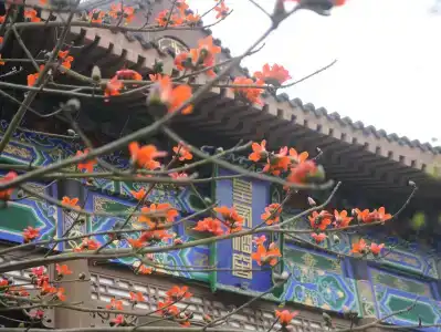 Eadry Royal Garden - 0