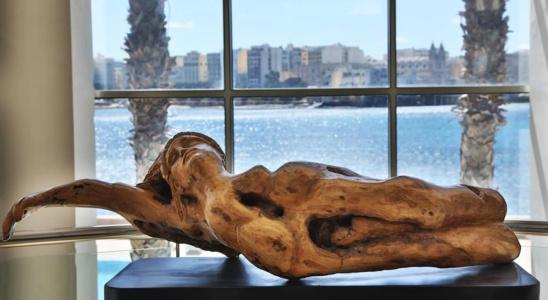 Cavalieri Malta, a member of Radisson Individuals - 24