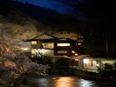 Osawa Onsen Sansuikaku - 43
