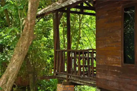 Khao Sok Riverside Cottage - 132