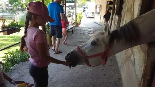 Oranj Ranch - 13