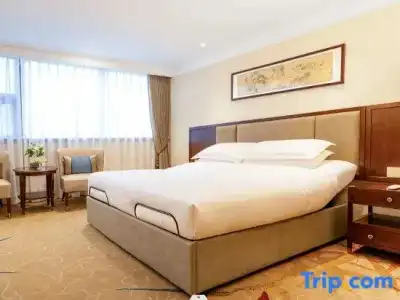 Beijing Henan Plaza - 28