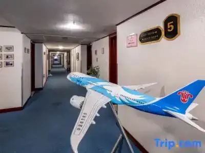Shanghai Southern Airlines Pearl - 37