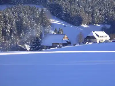 ThälerHäusle Mit Schwimmbad - 16