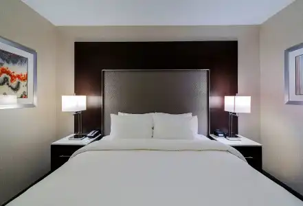 Fairfield Inn & Suites Boston Cambridge - 3