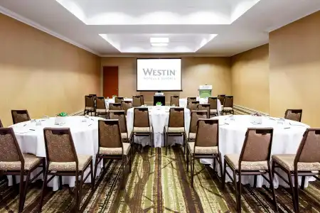 The Westin Michigan Avenue Chicago - 34