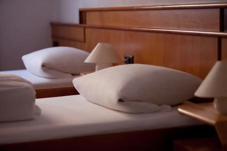 AltstadtGrauer Wolf - 6