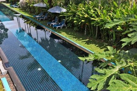 Tea Tree Boutique Resort - 48