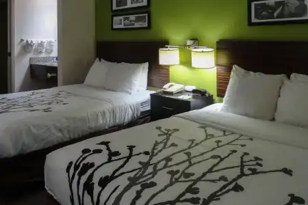 Sleep Inn & Suites Columbus - State University Area - 22