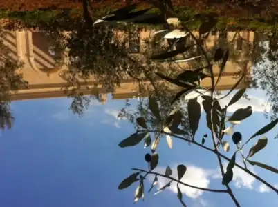 Agriturismo Masseria San Leonardo - 19