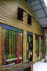 Khao Sok Tree House - 0