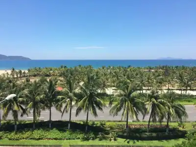 Orchid Danang - 11