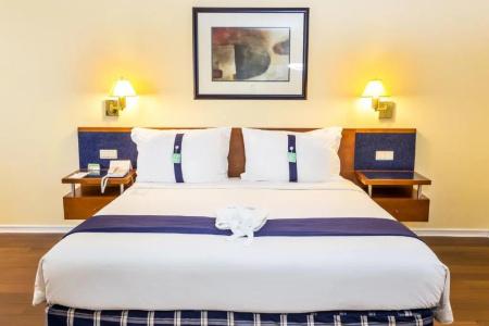 Holiday Inn Lisbon by IHG - 73