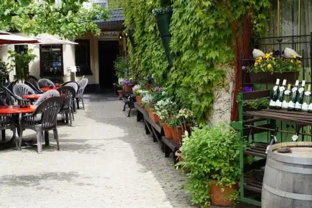 Weingut Haxel - 2