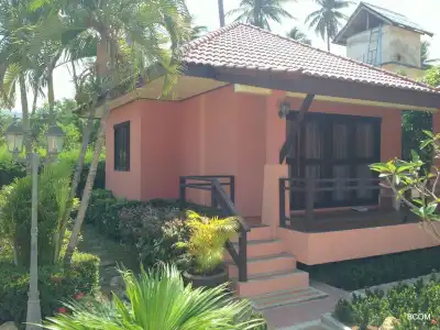The New Villa - 4