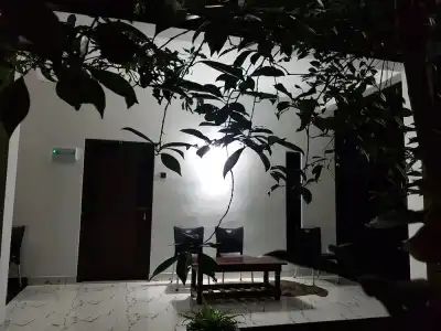 Green House - 9