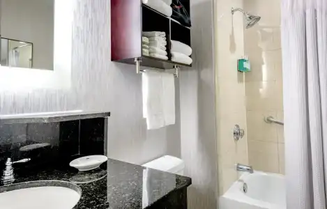 Crowne Plaza NEW ORLEANS FRENCH QTR - ASTOR by IHG - 7
