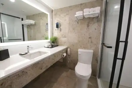 Sheraton Laval - 46