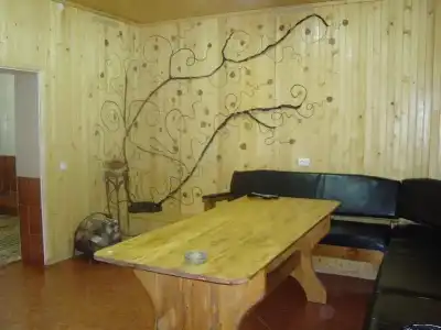 Hostel Vatra - 10