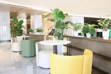 Holiday Inn SHANGHAI HUAXIA by IHG - 24